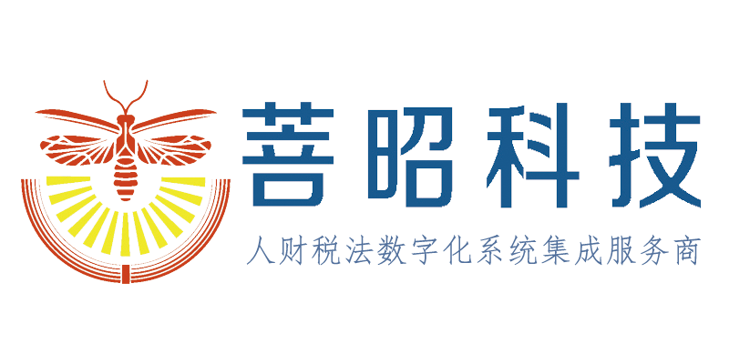 税务风险管理,税务风险检测,财税咨询服务企业降本增效,菩昭科技（上海）有限公司