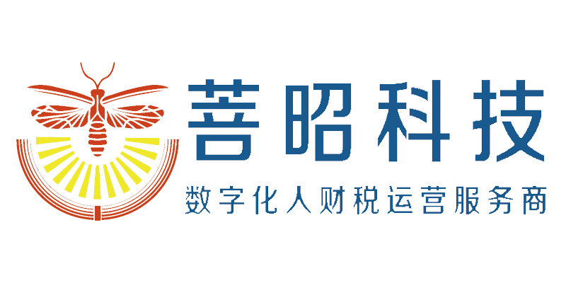 税务风险管理,税务风险检测,财税咨询服务企业降本增效,菩昭科技（上海）有限公司